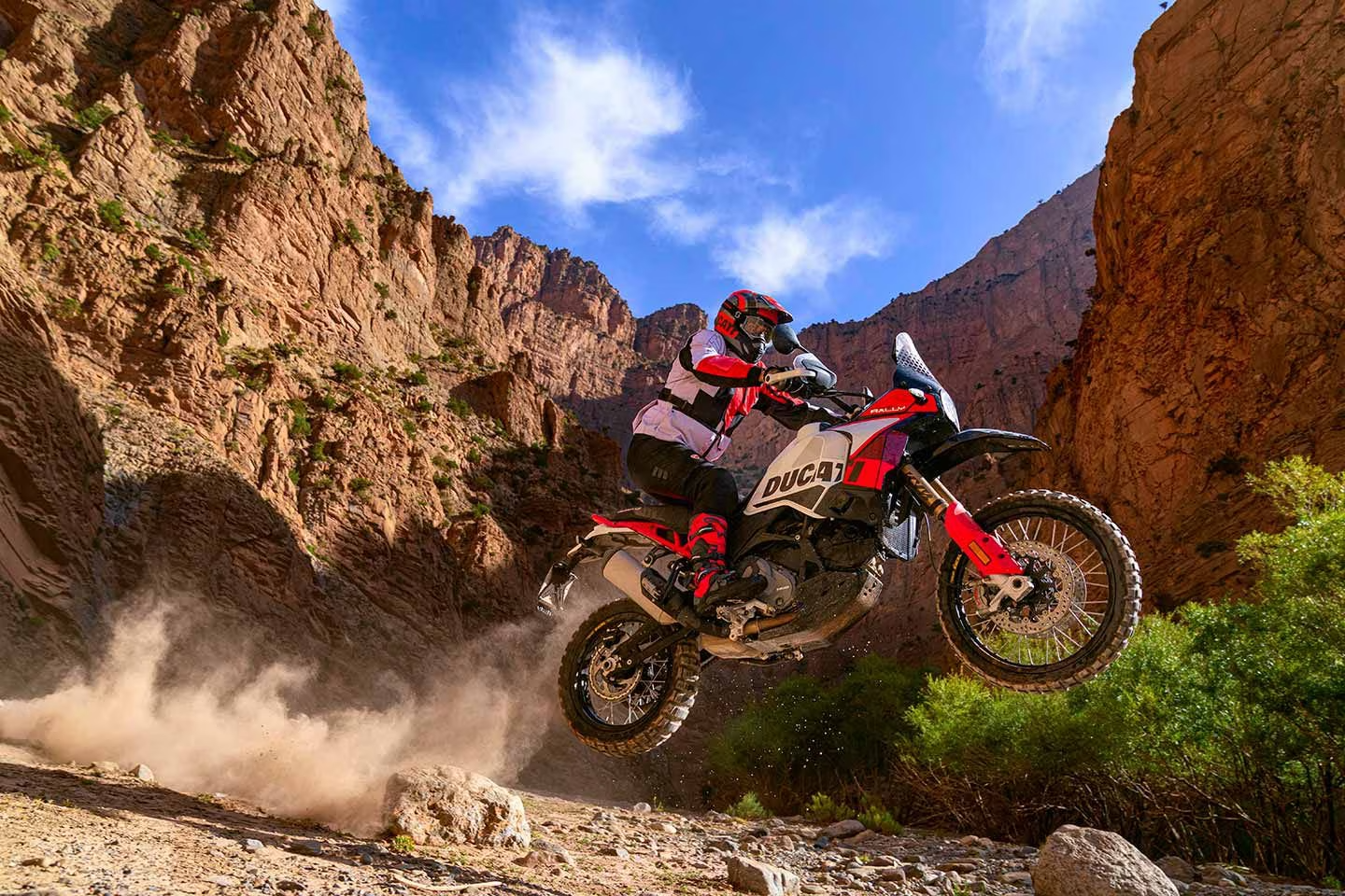 Ducati DesertX Rally Unveiled: Where Adventure Knows No Bounds